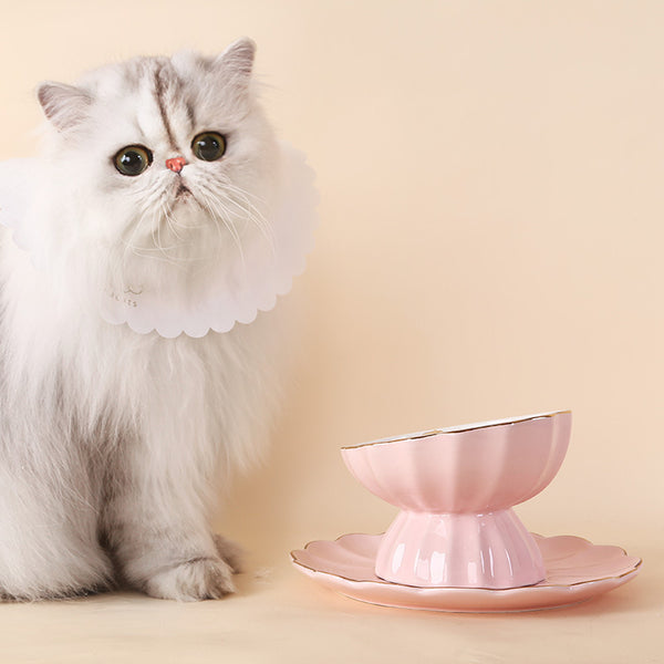 The cat bowl and the crockery - Gusto Illusions