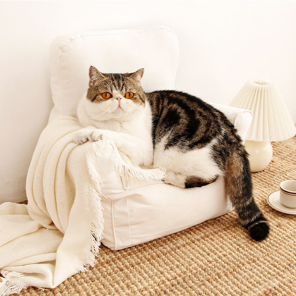 Nordic Sofa Cat Pet Bed - Gusto Illusions
