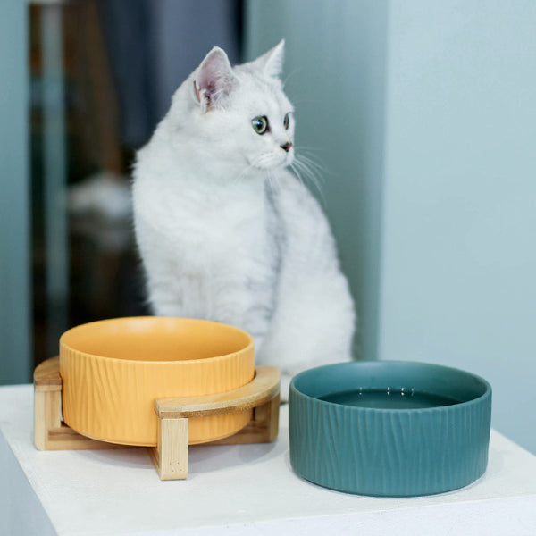 Ceramic cat food bowl cat food bowl drinking bowl - Gusto Illusions
