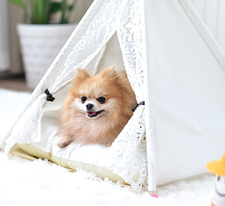 Small Spotted Tent Cat, Dog Kennel Tent - Gusto Illusions