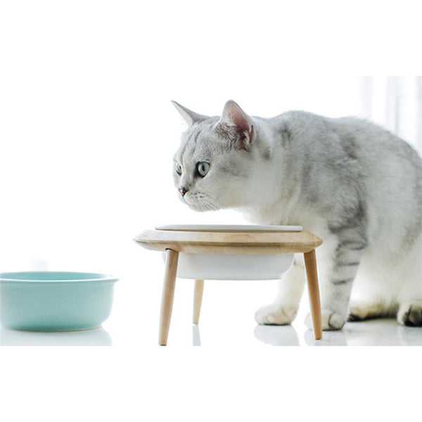 Tall Cat Food Bowl Dog Bowl Drinking Bowl Cat Universal - Gusto Illusions
