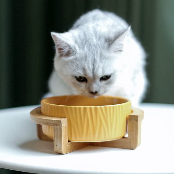 Ceramic cat food bowl cat food bowl drinking bowl - Gusto Illusions